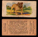 1929 V13 Cowans Dog Pictures Vintage Trading Cards You Pick Singles #1-24 #3 Bull Dog  - TvMovieCards.com