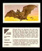 Nature Untamed Nabisco Vintage Trading Cards You Pick Singles #1-24 #3 Vampire Bat  - TvMovieCards.com