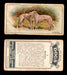 1925 Dogs 2nd Series Imperial Tobacco Vintage Trading Cards U Pick Singles #1-50 #3 Borzois  - TvMovieCards.com