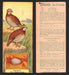 1924 Patterson's Bird Chocolate Vintage Trading Cards U Pick Singles #1-46 3 Bob-White  - TvMovieCards.com