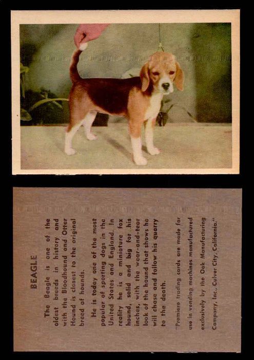 1957 Dogs Premiere Oak Man. R-724-4 Vintage Trading Cards You Pick Singles #1-42 #3 Beagle  - TvMovieCards.com