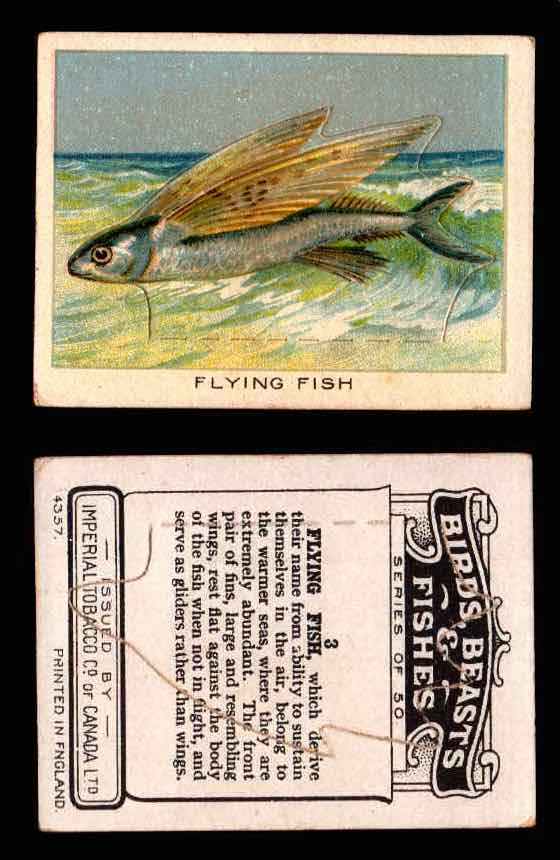 1923 Birds, Beasts, Fishes C1 Imperial Tobacco Vintage Trading Cards Singles #3 Flying Fish  - TvMovieCards.com