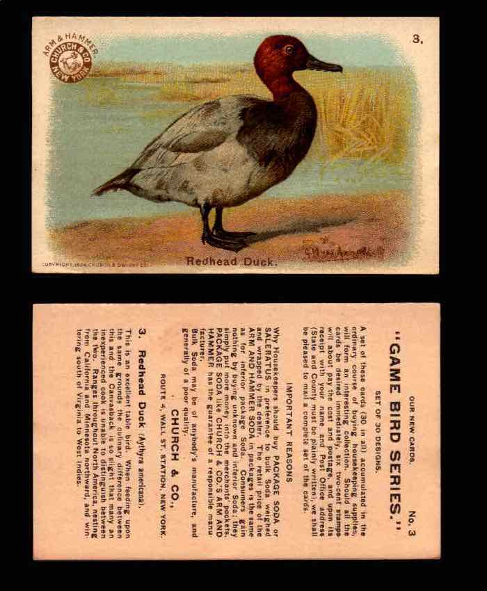 1904 Arm & Hammer Game Bird Series Vintage Trading Cards Singles #1-30 #3 Redhead Duck  - TvMovieCards.com