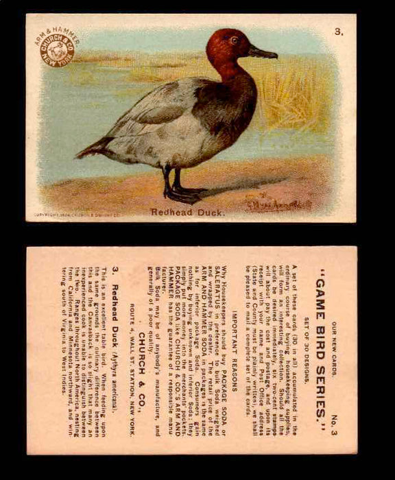 1904 Arm & Hammer Game Bird Series Vintage Trading Cards Singles #1-30 #3 Redhead Duck  - TvMovieCards.com