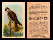 Birds - Useful Birds of America 6th Series You Pick Singles Church & Dwight J-9 #3 Sparrow Hawk  - TvMovieCards.com