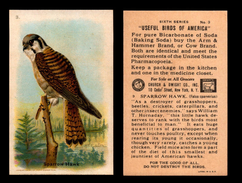 Birds - Useful Birds of America 6th Series You Pick Singles Church & Dwight J-9 #3 Sparrow Hawk  - TvMovieCards.com