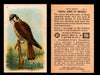 Birds - Useful Birds of America 6th Series You Pick Singles Church & Dwight J-9 #3 Sparrow Hawk  - TvMovieCards.com