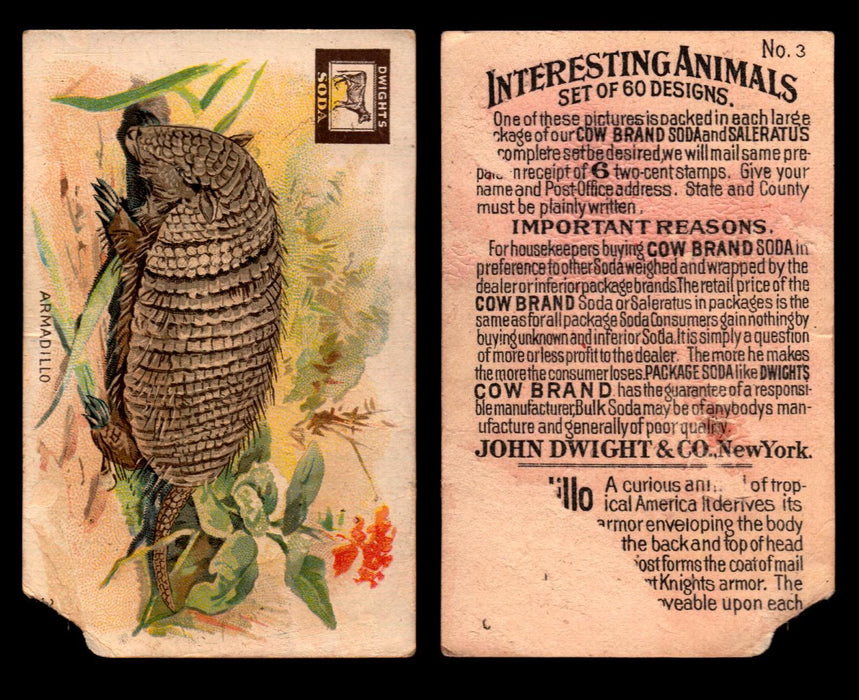 Interesting Animals You Pick Single Card #1-60 1892 J10 Church Arm & Hammer #3 Armadillo Dwight Soda Damaged  - TvMovieCards.com