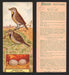 1924 Patterson's Bird Chocolate Vintage Trading Cards U Pick Singles #1-46 40 Meadow Lark  - TvMovieCards.com