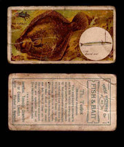 1910 Fish and Bait Imperial Tobacco Vintage Trading Cards You Pick Singles #1-50 #40 The Turbot  - TvMovieCards.com