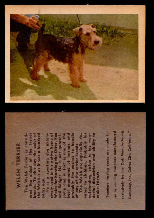 1957 Dogs Premiere Oak Man. R-724-4 Vintage Trading Cards You Pick Singles #1-42 #40 Welsh Terrier  - TvMovieCards.com