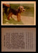 1957 Dogs Premiere Oak Man. R-724-4 Vintage Trading Cards You Pick Singles #1-42 #40 Welsh Terrier  - TvMovieCards.com