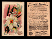 Beautiful Flowers New Series You Pick Singles Card #1-#60 Arm & Hammer 1888 J16 #40 Narcissus  - TvMovieCards.com