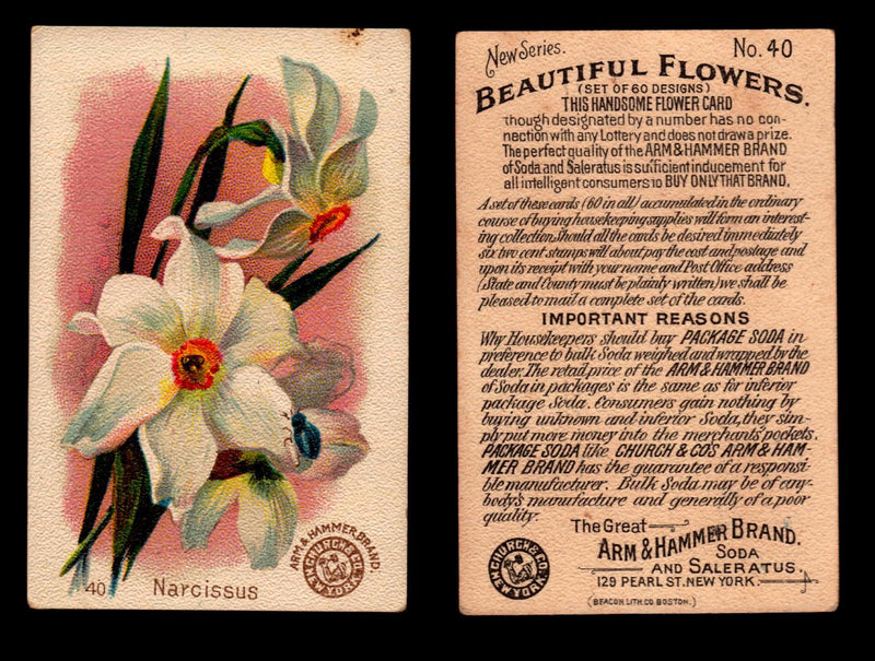 Beautiful Flowers New Series You Pick Singles Card #1-#60 Arm & Hammer 1888 J16 #40 Narcissus  - TvMovieCards.com
