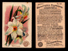 Beautiful Flowers New Series You Pick Singles Card #1-#60 Arm & Hammer 1888 J16 #40 Narcissus  - TvMovieCards.com