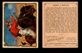 1909 T53 Hassan Cigarettes Cowboy Series #1-50 Trading Cards Singles #40 Riding A Buffalo  - TvMovieCards.com