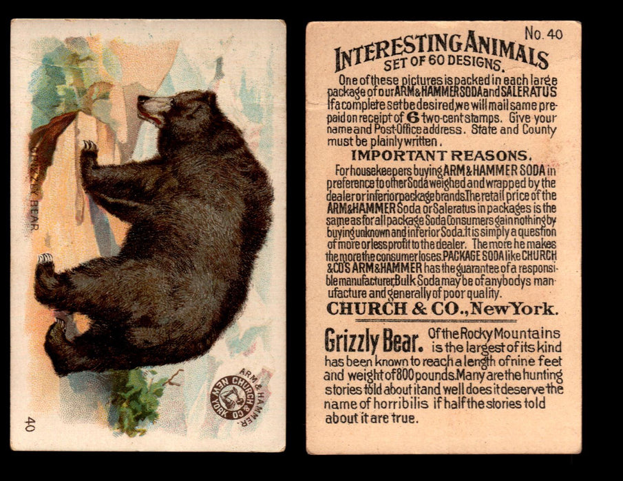 Interesting Animals You Pick Single Card #1-60 1892 J10 Church Arm & Hammer #40 Grizzly Bear  - TvMovieCards.com