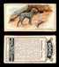 1925 Dogs 2nd Series Imperial Tobacco Vintage Trading Cards U Pick Singles #1-50 #40 Bedlington Terrier  - TvMovieCards.com