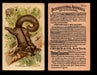 Interesting Animals You Pick Single Card #1-60 1892 J10 Church Arm & Hammer   - TvMovieCards.com