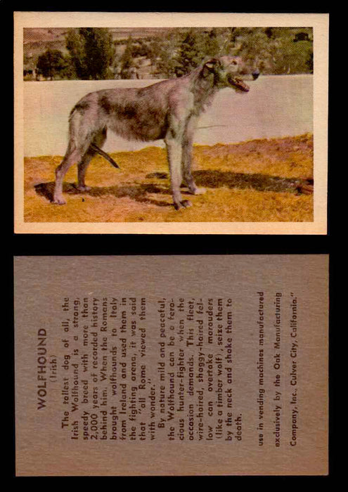 1957 Dogs Premiere Oak Man. R-724-4 Vintage Trading Cards You Pick Singles #1-42 #41 Wolfhound (Irish)  - TvMovieCards.com