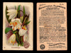 Beautiful Flowers New Series You Pick Singles Card #1-#60 Arm & Hammer 1888 J16 #41 Snowdrops  - TvMovieCards.com