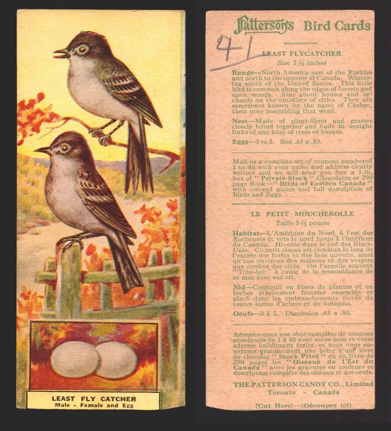 1924 Patterson's Bird Chocolate Vintage Trading Cards U Pick Singles #1-46 41 Least Flycatcher  - TvMovieCards.com