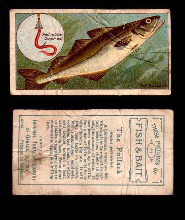 1910 Fish and Bait Imperial Tobacco Vintage Trading Cards You Pick Singles #1-50 #41 The Pollack  - TvMovieCards.com
