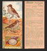 1924 Patterson's Bird Chocolate Vintage Trading Cards U Pick Singles #1-46 42 Oven-Bird or Golden Crowned Thrush  - TvMovieCards.com