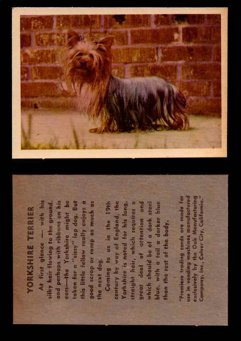 1957 Dogs Premiere Oak Man. R-724-4 Vintage Trading Cards You Pick Singles #1-42 #42 Yorkshire Terrier  - TvMovieCards.com