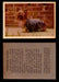 1957 Dogs Premiere Oak Man. R-724-4 Vintage Trading Cards You Pick Singles #1-42 #42 Yorkshire Terrier  - TvMovieCards.com