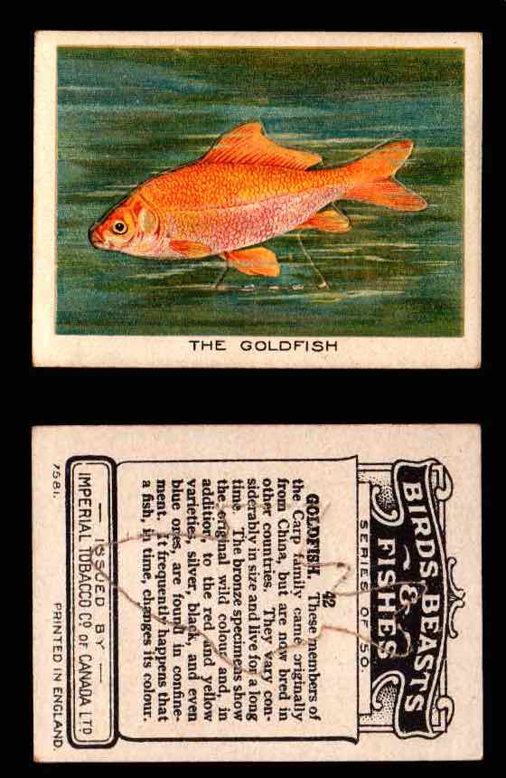 montego red 100 cigarettes Montego Class A 100s Red Kings Cigarettes 200 ea