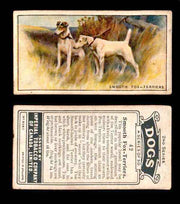 1925 Dogs 2nd Series Imperial Tobacco Vintage Trading Cards U Pick Singles #1-50 #42 Smooth Fox Terriers  - TvMovieCards.com