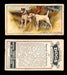 1925 Dogs 2nd Series Imperial Tobacco Vintage Trading Cards U Pick Singles #1-50 #42 Smooth Fox Terriers  - TvMovieCards.com