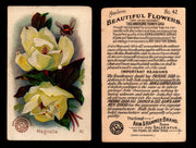 Beautiful Flowers New Series You Pick Singles Card #1-#60 Arm & Hammer 1888 J16 #42 Magnolia  - TvMovieCards.com