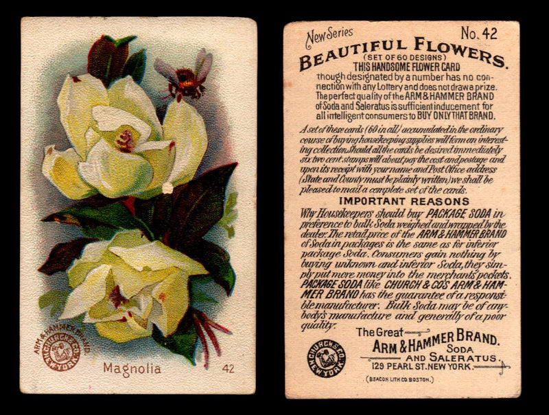 Beautiful Flowers New Series You Pick Singles Card #1-#60 Arm & Hammer 1888 J16 #42 Magnolia  - TvMovieCards.com