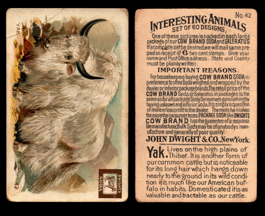 Interesting Animals You Pick Single Card #1-60 1892 J10 Church Arm & Hammer #42 Yak Dwight Soda Damaged  - TvMovieCards.com