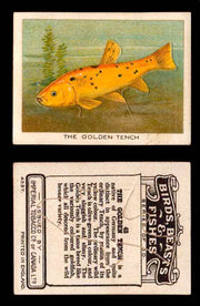 1923 Birds, Beasts, Fishes C1 Imperial Tobacco Vintage Trading Cards Singles #43 The Golden Tench  - TvMovieCards.com