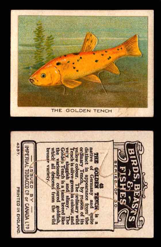 1923 Birds, Beasts, Fishes C1 Imperial Tobacco Vintage Trading Cards Singles #43 The Golden Tench  - TvMovieCards.com