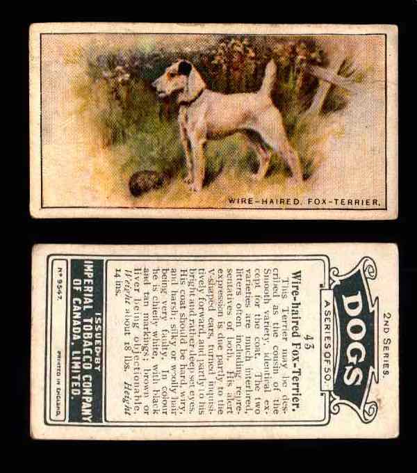 1925 Dogs 2nd Series Imperial Tobacco Vintage Trading Cards U Pick Singles #1-50 #43 Wire Haired Fox Terrier  - TvMovieCards.com