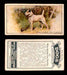 1925 Dogs 2nd Series Imperial Tobacco Vintage Trading Cards U Pick Singles #1-50 #43 Wire Haired Fox Terrier  - TvMovieCards.com
