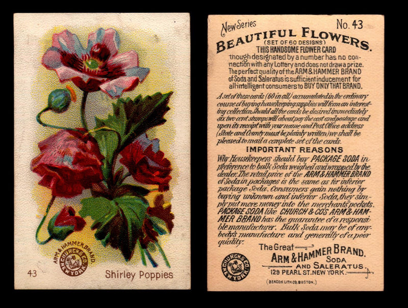 Beautiful Flowers New Series You Pick Singles Card #1-#60 Arm & Hammer 1888 J16 #43 Shirley Poppies  - TvMovieCards.com