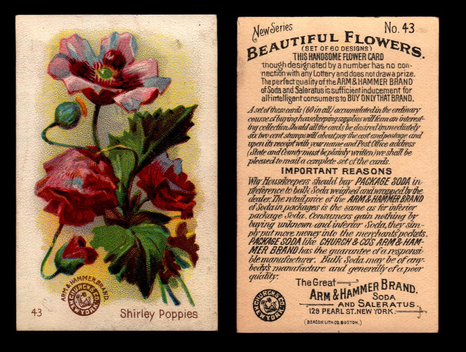 Beautiful Flowers New Series You Pick Singles Card #1-#60 Arm & Hammer 1888 J16 #43 Shirley Poppies  - TvMovieCards.com
