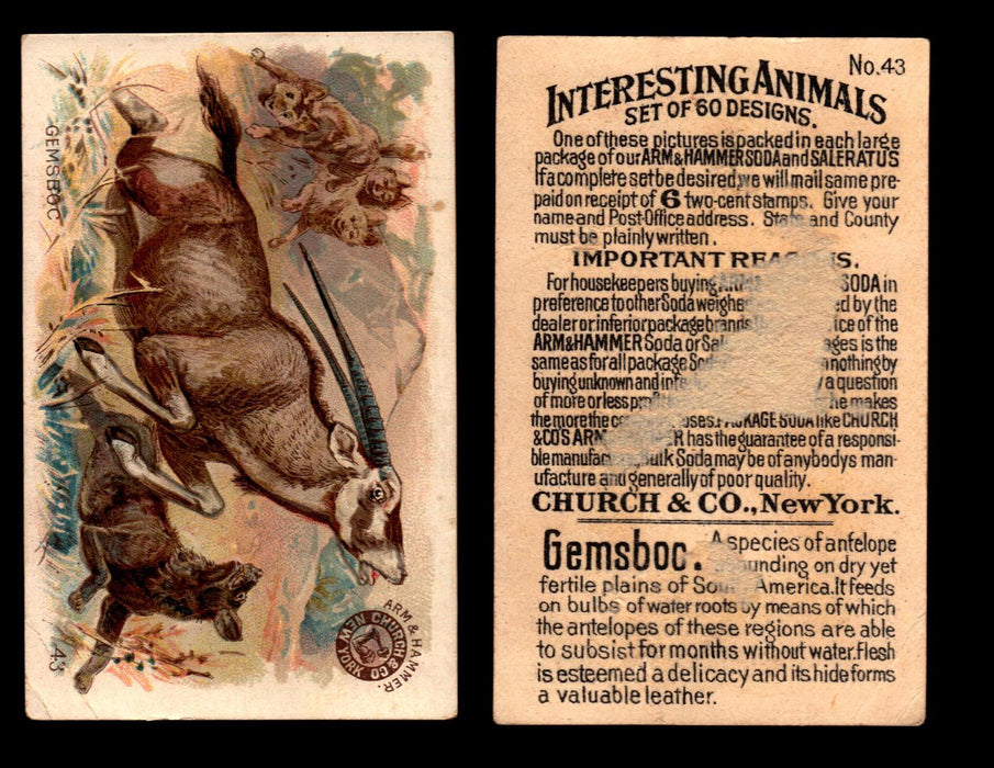 Interesting Animals You Pick Single Card #1-60 1892 J10 Church Arm & Hammer #43 Gemsboc Damaged  - TvMovieCards.com