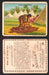 1910 T73 Hassan Cigarettes Indian Life In The 60's Tobacco Trading Cards Singles #43 Squaw Fleshing a Robe  - TvMovieCards.com
