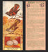1924 Patterson's Bird Chocolate Vintage Trading Cards U Pick Singles #1-46 43 American Redstart  - TvMovieCards.com