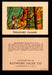 Treasure Island Buymore Sales 1960 Vintage Trading Cards You Pick Singles   - TvMovieCards.com