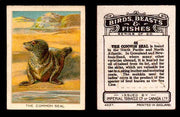 1923 Birds, Beasts, Fishes C1 Imperial Tobacco Vintage Trading Cards Singles #44 The Common Seal  - TvMovieCards.com