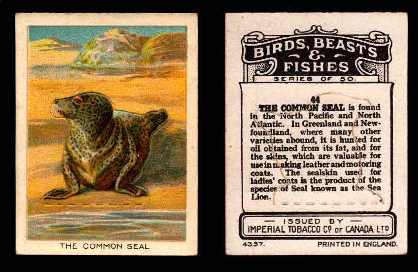 1923 Birds, Beasts, Fishes C1 Imperial Tobacco Vintage Trading Cards Singles #44 The Common Seal  - TvMovieCards.com