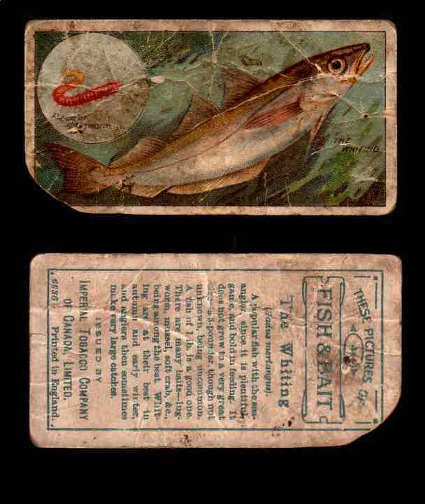 1910 Fish and Bait Imperial Tobacco Vintage Trading Cards You Pick Singles #1-50 #44 The Whiting  - TvMovieCards.com