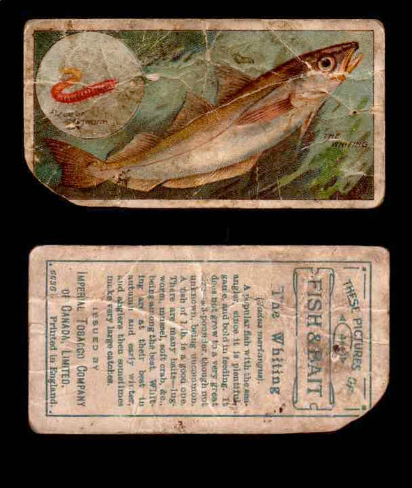 1910 Fish and Bait Imperial Tobacco Vintage Trading Cards You Pick Singles #1-50 #44 The Whiting  - TvMovieCards.com